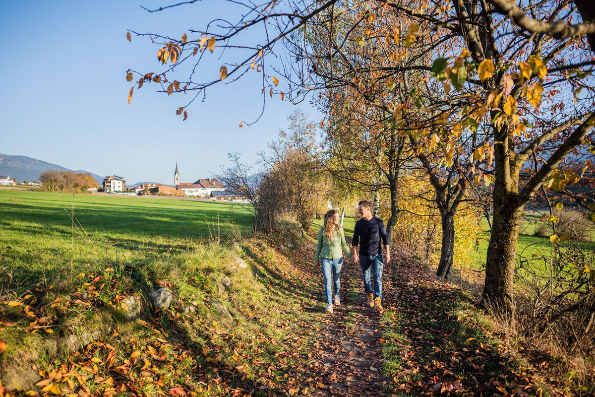 Weg am Kronplatz